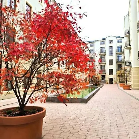 Apartman Piotrkowska 37 Dreamer *