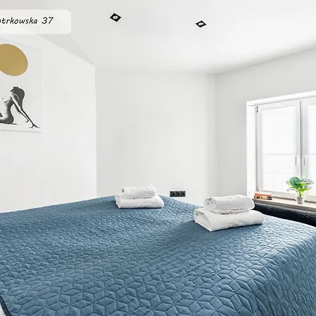 Apartman Piotrkowska 37 Dreamer