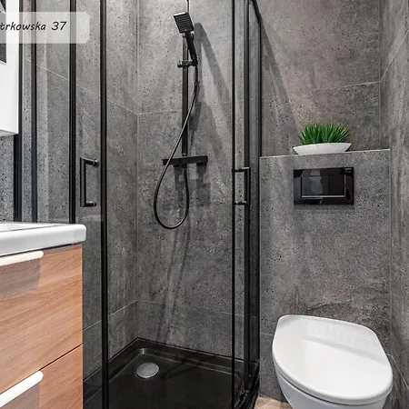 Apartman Piotrkowska 37 Dreamer